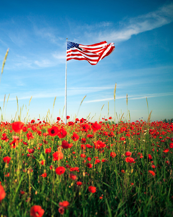 American flag in field of poppies